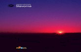 Slavonia - Splendore all’orizzonte