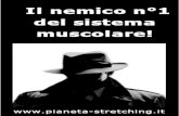 Il nemico n°1 del sistema muscolare! - by Pianeta-Stretching.it
