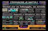 Cronache Di Napoli 27 Aprile 2010