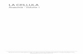 La Cellula - Wikibook