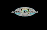 Mesa Boogie Mark v - Guida Rapida