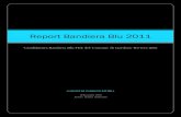 Rapporto Bandiera Blu 2011 - Comune di Gardone Riviera - Versione BETA 13-01-2011