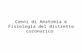 Cenni Di Anatomia e Fisiologia Del Distretto Corona Rico