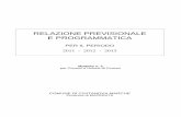 19-Relazione Prevision Ale e Programmatic A 2011-2013