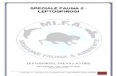Speciale Fauna 2 - Leptospirosi e Nutrie 2.0