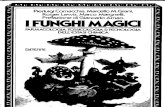 I funghi magici