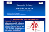I Muscoli Scheletrici - Bernardo Belcari