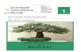 a Guida Alla Coltivazione Dei Bonsai - Giuseppe Sebastiano Devoti Stamp a Bile)