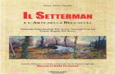 Il Setterman e l'Arte della Beccaccia 2,5