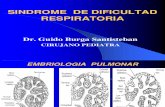 Sindrome Dificultad Respiratoria Expo Sic Ion Santa Rosa (Copia)