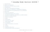 Guida SQL Server 2008