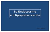 Presentazione Endotossine e Lipopolisaccaride