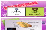 Expo Retrovirus