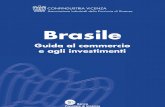 Brasile_guida Al Commercio e Agli Investimenti