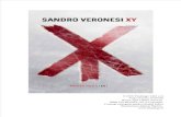 81205304 Veronesi Sandro XY Amenista