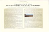 1998_La Corteccia Di Olivo Fonte Economica Di Zuccheri e Polialcoli