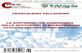 La sostenibilità finanziaria delle istituzioni di microfinanza: un’analisi descrittiva delle MFI brasiliane