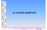 5 Il Codice Genetico genetica agraria uniss