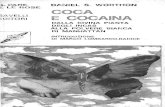 Coca e cocaina. Dalla divina pianta degli Incas alla polvere bianca di Manhattan