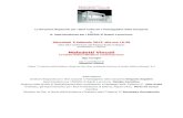 Presentazione del volume "Maledetti VincoliLa tutela dell'architettura contemporanea" a cura di Ugo Carughi, con il contributo di Massimo Visone