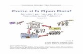 Come Si Fa Open Data Per La PA