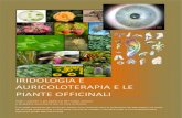 Iridologia e Auricoloterapia Fitoterapia