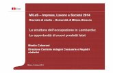 M. Calzaroni - La struttura dell’occupazione in Lombardia: Le opportunità di nuovi prodotti Istat