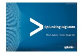 Splunking big data