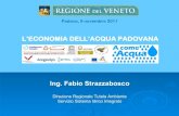 Economia acqua padovana Veneto Responsabile a cura di Fabio Strazzabosco