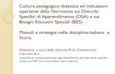 Cultura pedagogico-didattica ed indicazioni operative della Normativa sui Disturbi Specifici di Apprendimento (DSA) e sui Bisogni Educativi Speciali (BES)