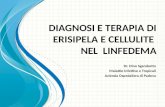 Diagnosi e terapia di erisipela e cellulite nel linfedema cronico