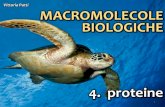 Macromolecole biologiche 4. proteine