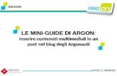 Le mini-guide di Argon:Inserire contenuti multimediali in un post nel blog degli Argonauti