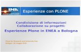 Esperienze PLONE in ENEA a Bologna