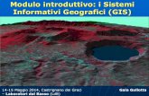 Ldb 25 strumenti gis e webgis_2014-05-14 gullotta - 1 i sistemi informativi geografici