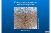 14.5 spatial partition of evapotranspiration
