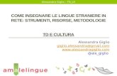 Come insegnare le lingue straniere in Rete: TD e cultura