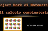 Project work di Matematica di Susanna Ossicini