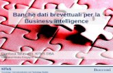 Patent databases for business intelligence