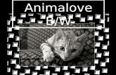 Animalove B W