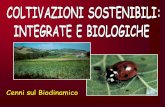 Ldb_77 Agricoltura Naturale Vitolla_03