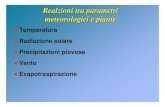Ambiente5 relazioni-parametripiante