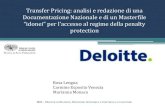 Project Work ipe-Deloitte