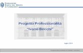 Presentazione Progetto Professionalità Luglio 2014