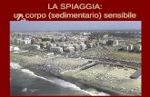 Waterfront Roma: la spiaggia, un corpo (sedimentario) sensibile.