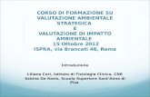 Corso VIA VAS - ISPRA 16.10.12 - Sessione Lectio Magistralis "Integrazione dei processi di partecipazione nella VAS"