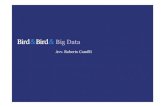 Overview big data avv. roberto camilli