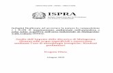 Ispra malagrotta report monitoraggio preliminare acque malagrotta finaldraft