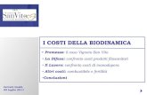 Vigneto San Vito Costi biodinamica cerreto guidi 2011110710