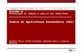 D. Fusco, P. Giordano, M. Greco, V. Moretti  - Indice di Agricoltura Sostenibile (SAI)